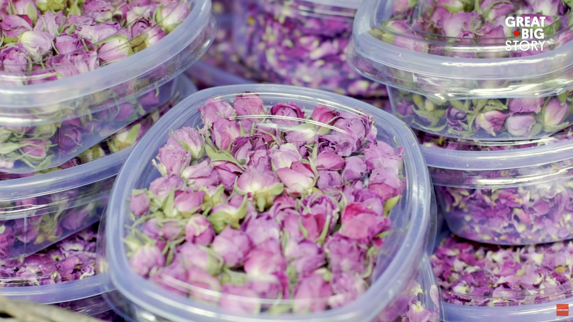 How the World’s Best Rose Water Is Made